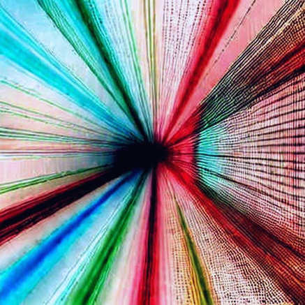 The Noise Hypothesis: When a Founder's Dismissal of Volatility Hides the Death Rattle