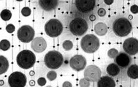 The Short, Fragile Life of an Omnichain Launchpad: What Printr's Shutdown Really Tells Us