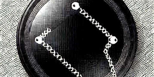 The $50 Million Ghost: What the Cosmos EVM Exploit Really Exposed The $50 Million Ghost: What the Cosmos EVM Exploit Really Exposed