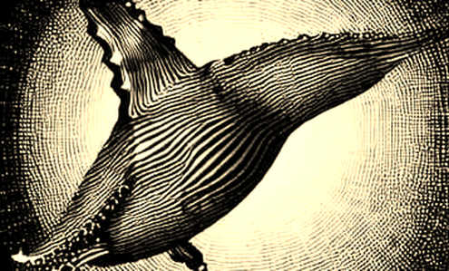 The Clarity Act: Direction Is the Signal. The Deadline Is the Noise.