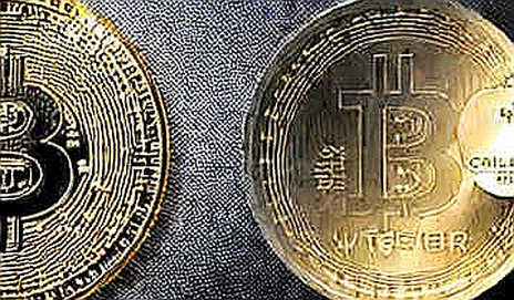 Pakistan's Crypto License Portal: The Data That No One Is Watching