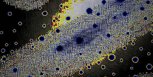 The Silence Before the Squall: Bitcoin's Taker Volume Collapse and the Macro Crossroads The Silence Before the Squall: Bitcoin's Taker Volume Collapse and the Macro Crossroads