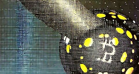 The Next Bull Run's Main Battlefield? The Trap is in the Question Itself The Next Bull Run's Main Battlefield? The Trap is in the Question Itself