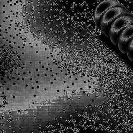 When the Echo of War Becomes a Crypto Signal: Deconstructing the HIMARS Rumor When the Echo of War Becomes a Crypto Signal: Deconstructing the HIMARS Rumor