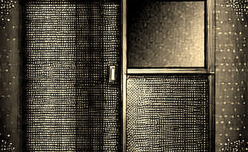 Nepotism or Necessity? WLF CEO Defends USD1 Amid Conflict-of-Interest Storm Nepotism or Necessity? WLF CEO Defends USD1 Amid Conflict-of-Interest Storm