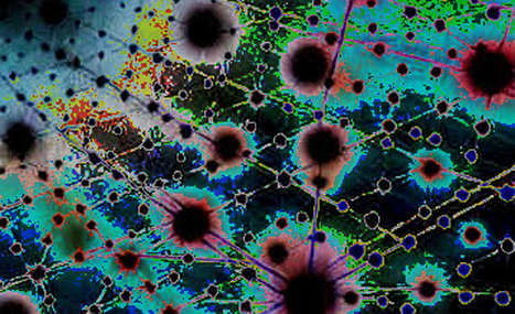 The Optics Sell-Off: A Macro Signal for Crypto’s AI Infrastructure Play